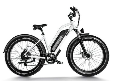 D3 ST(Crusier ST) / All Terrain Electric Bike