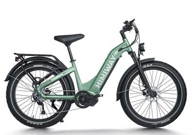 D5 Pro ST / All-Terrain Electric Fat Bike