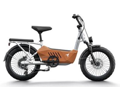 C3 / Cargo eBike