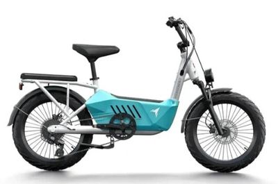 C3 / Cargo eBike