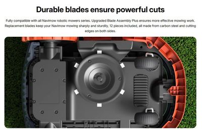 Blade Assembly Plus (3 Pack)
