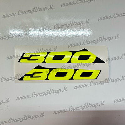 KIT LOGHI 300 2 pz. per SEADOO RXT 300 X RS