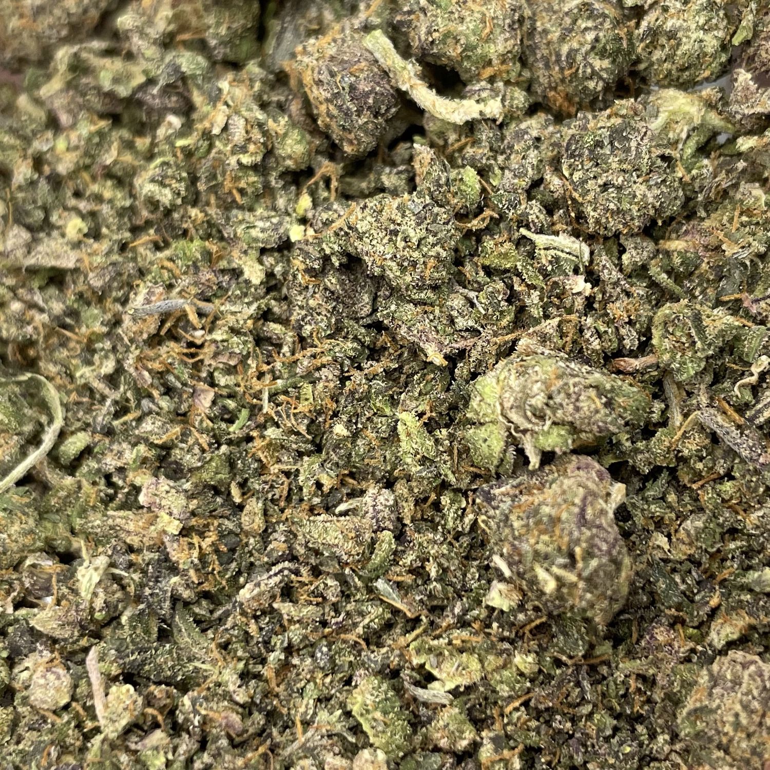 Black Garlic Gelato Shake (7G)