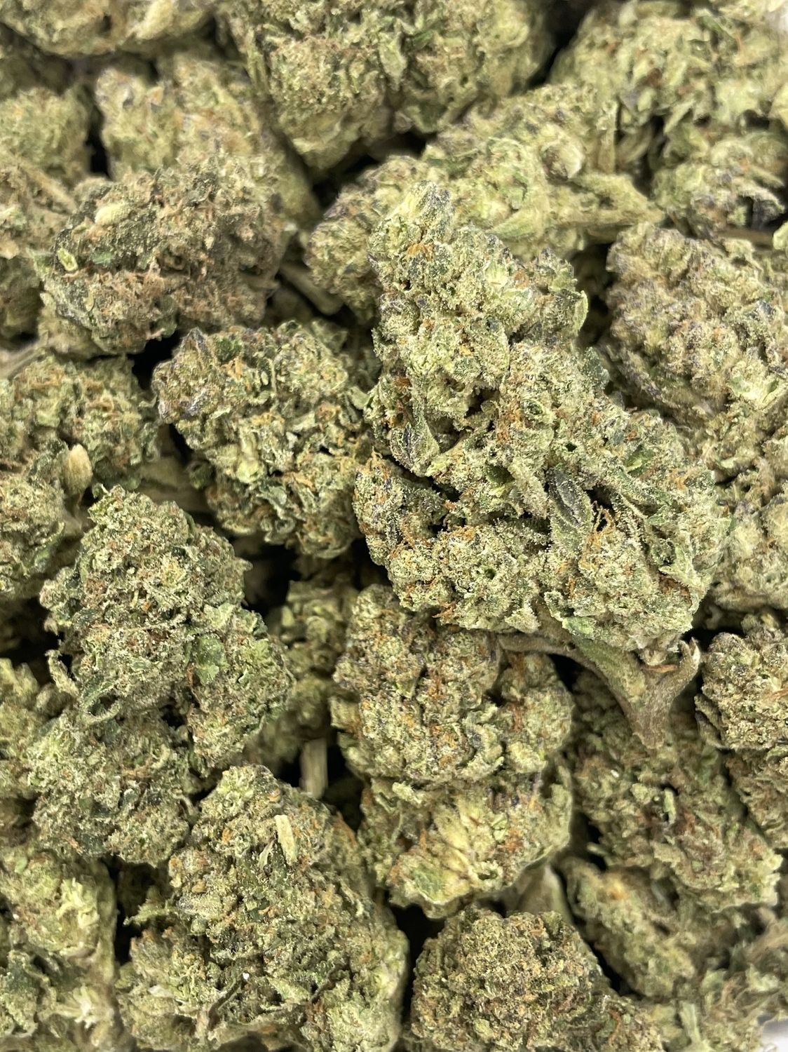 Cheetah Piss (28g)