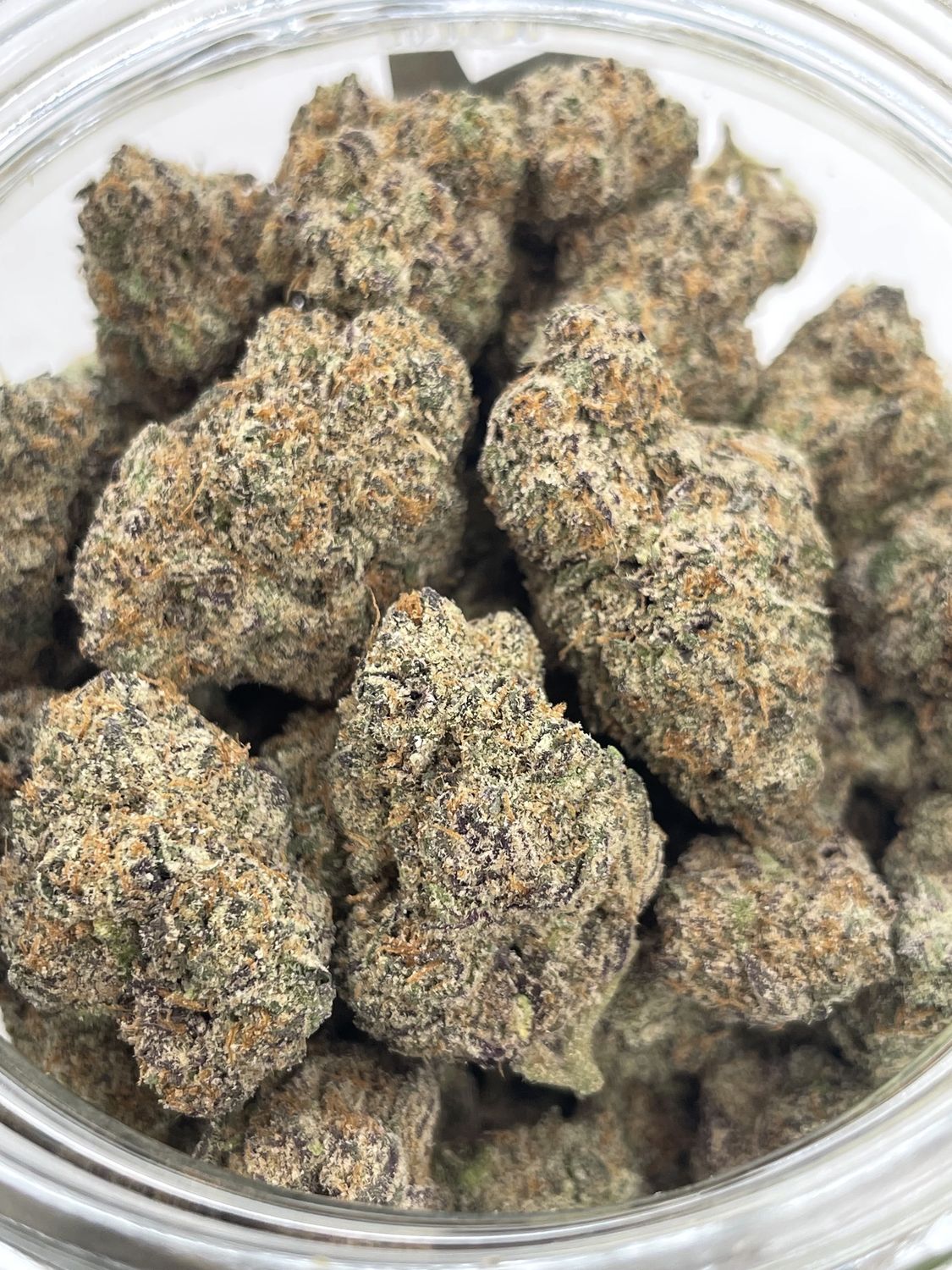 Lemon Cherry Gelato (3.5G)