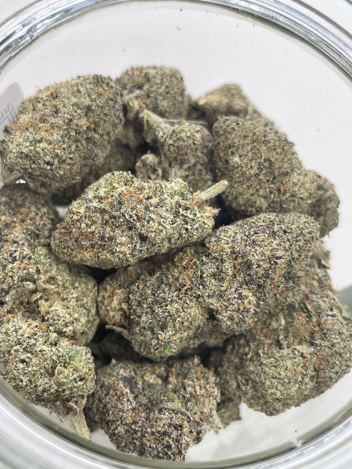 Sherb Cream Pie (28G)