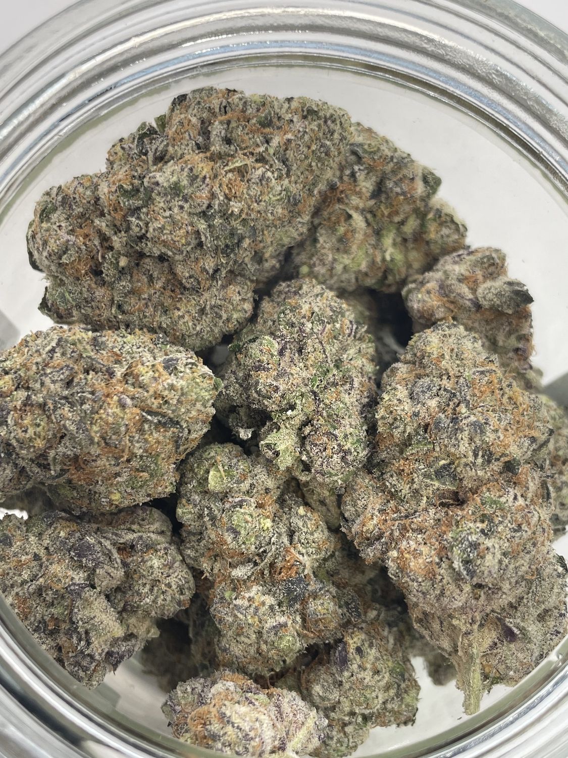 Dante’s Rainbow (3.5G)