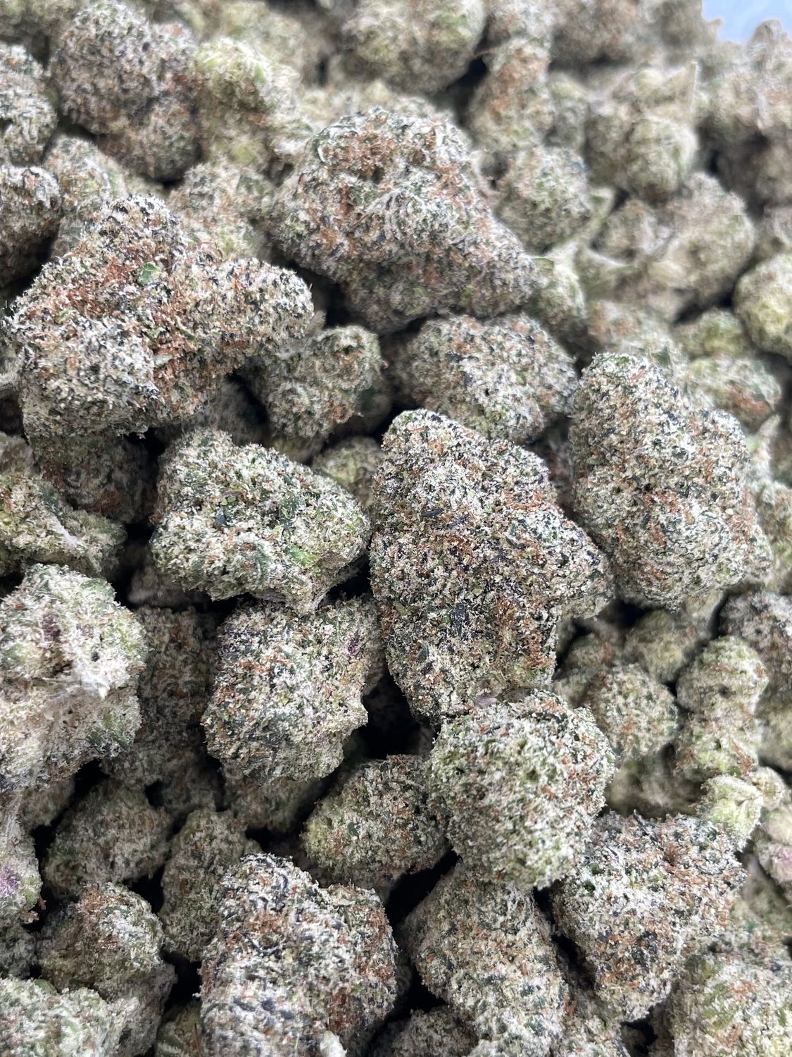 White Cherry Runtz (7G Shake)