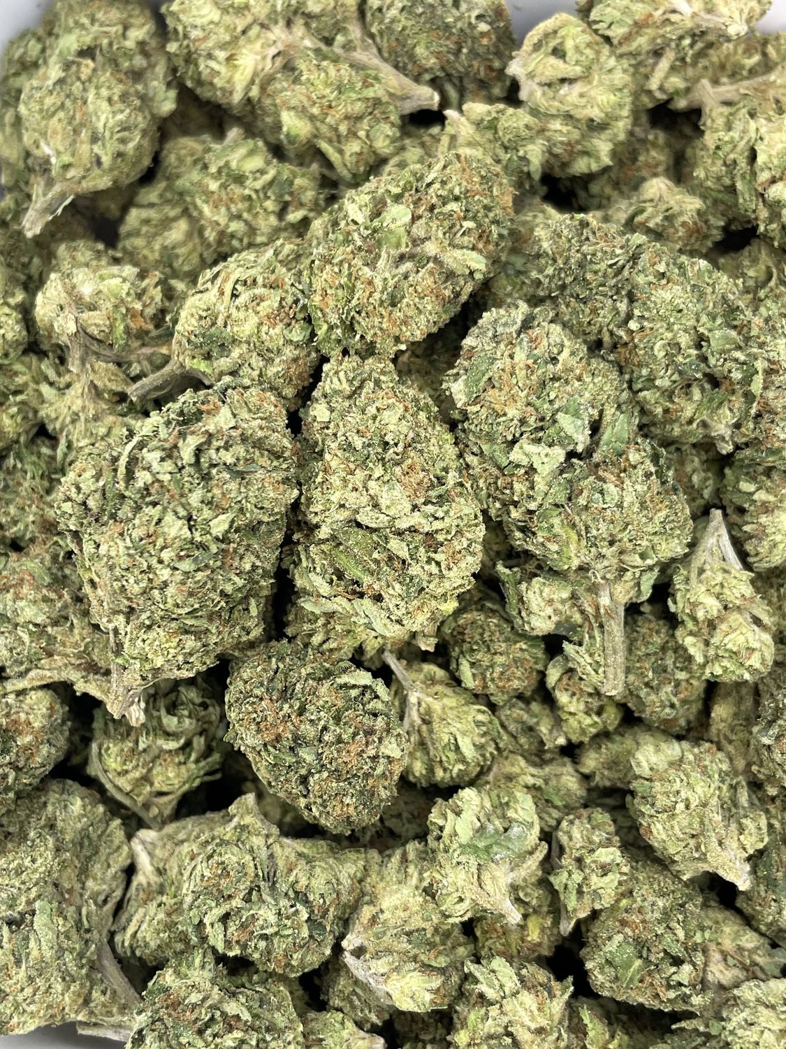 Bacio Gelato (3.5G)