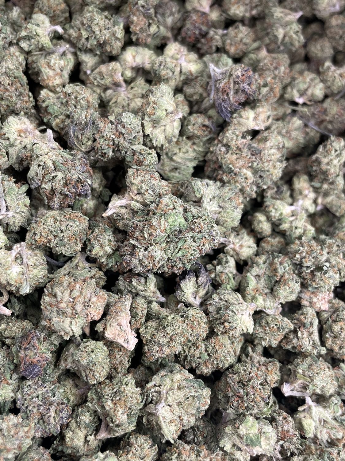 Black Cherry Gelato Smalls (3.5G)