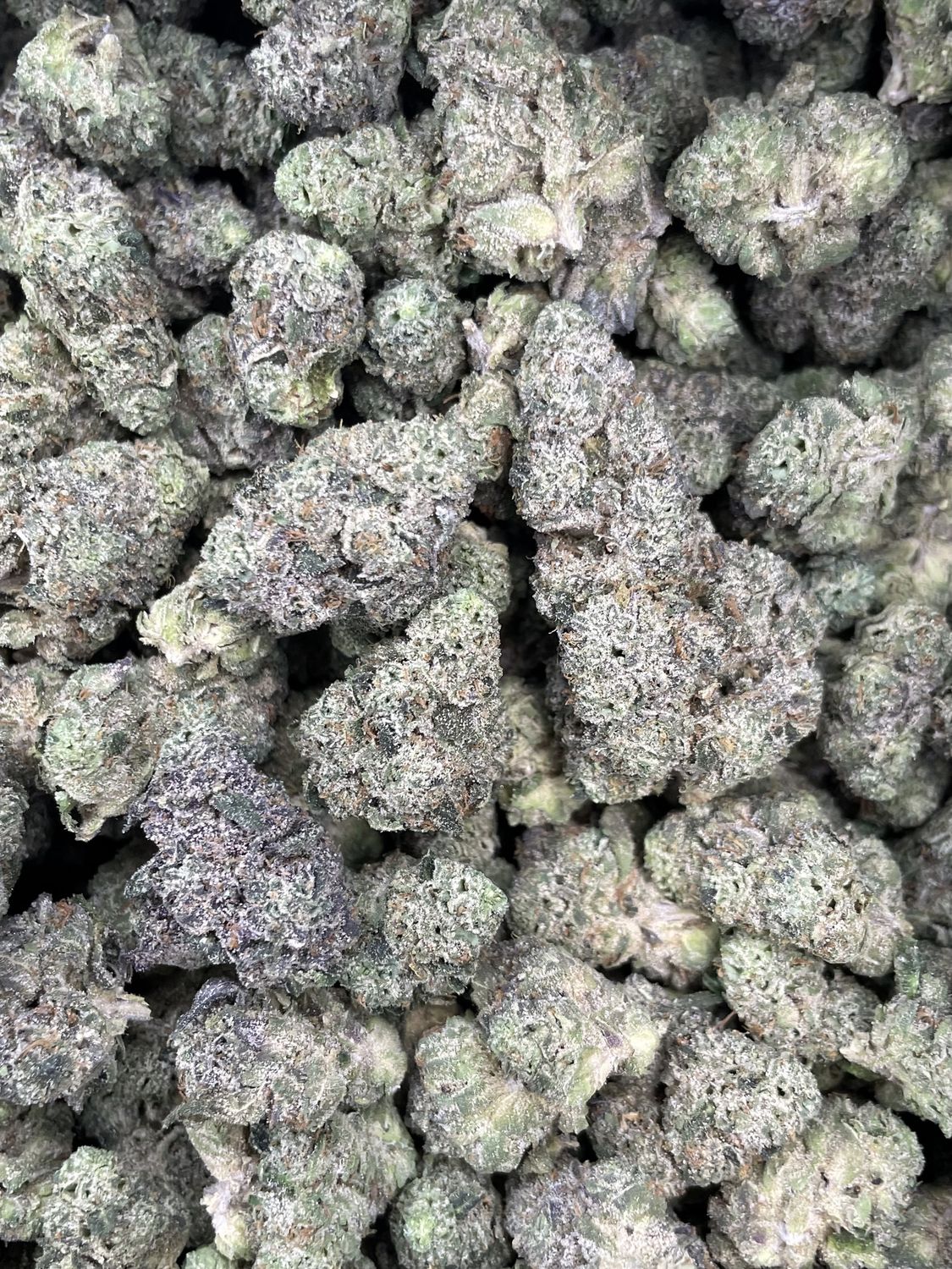 Candy Junkies (3.5G)