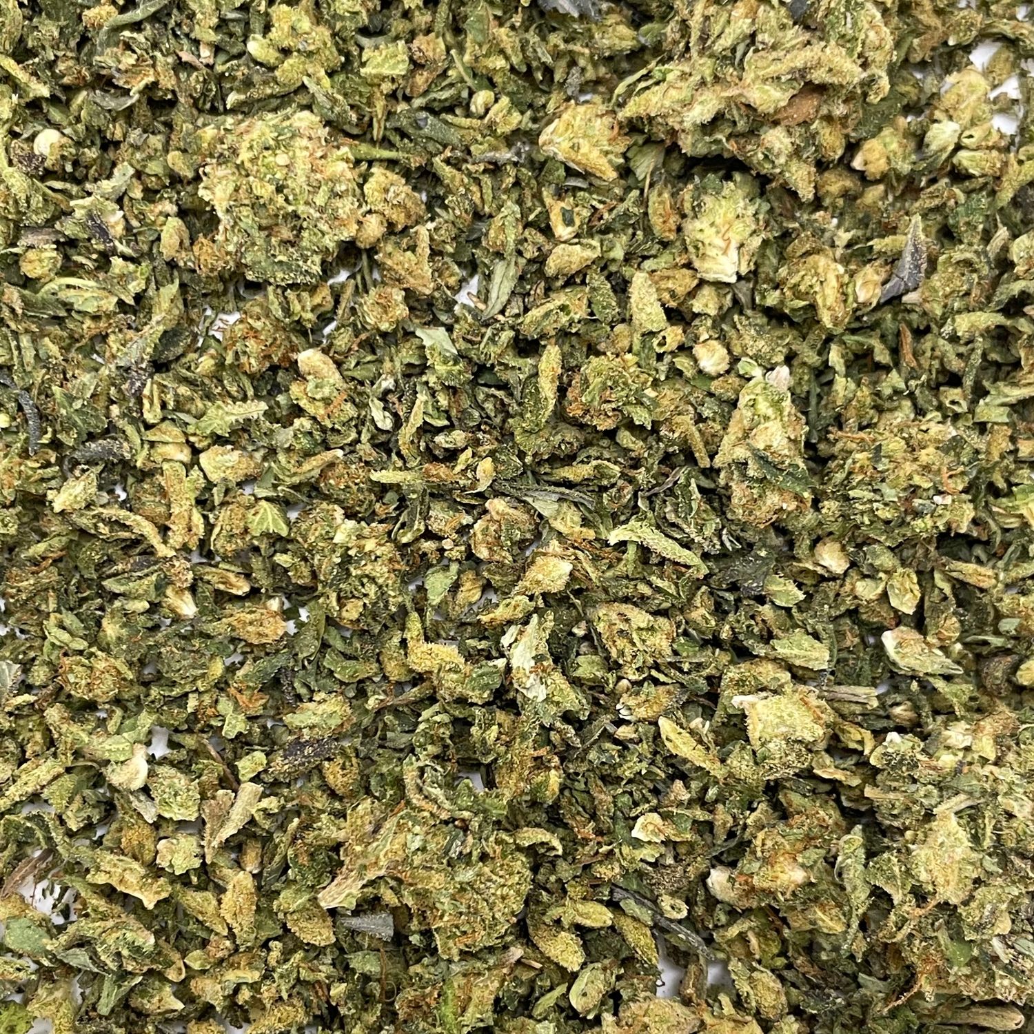 Bacio Gelato Shake (7G)