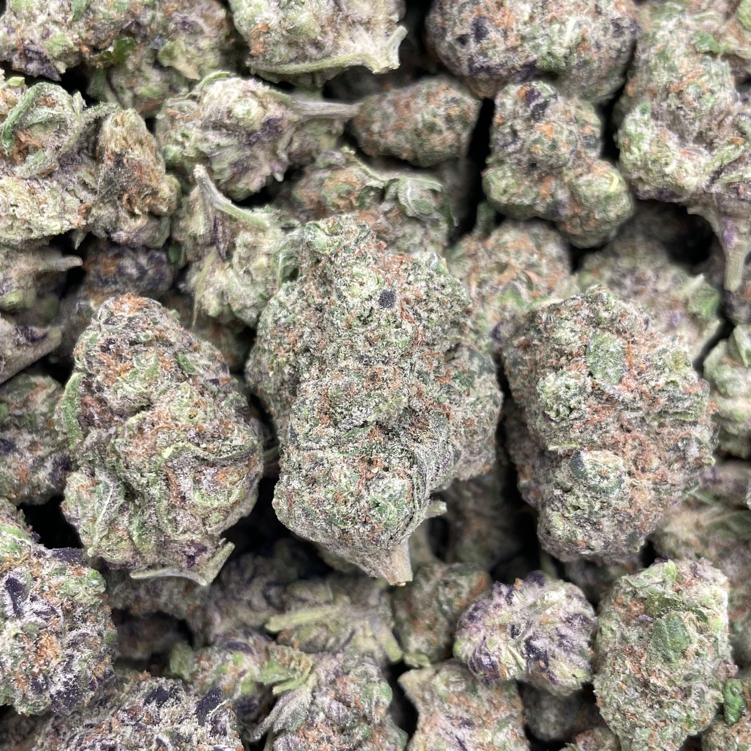 Frosted Guava (28G)
