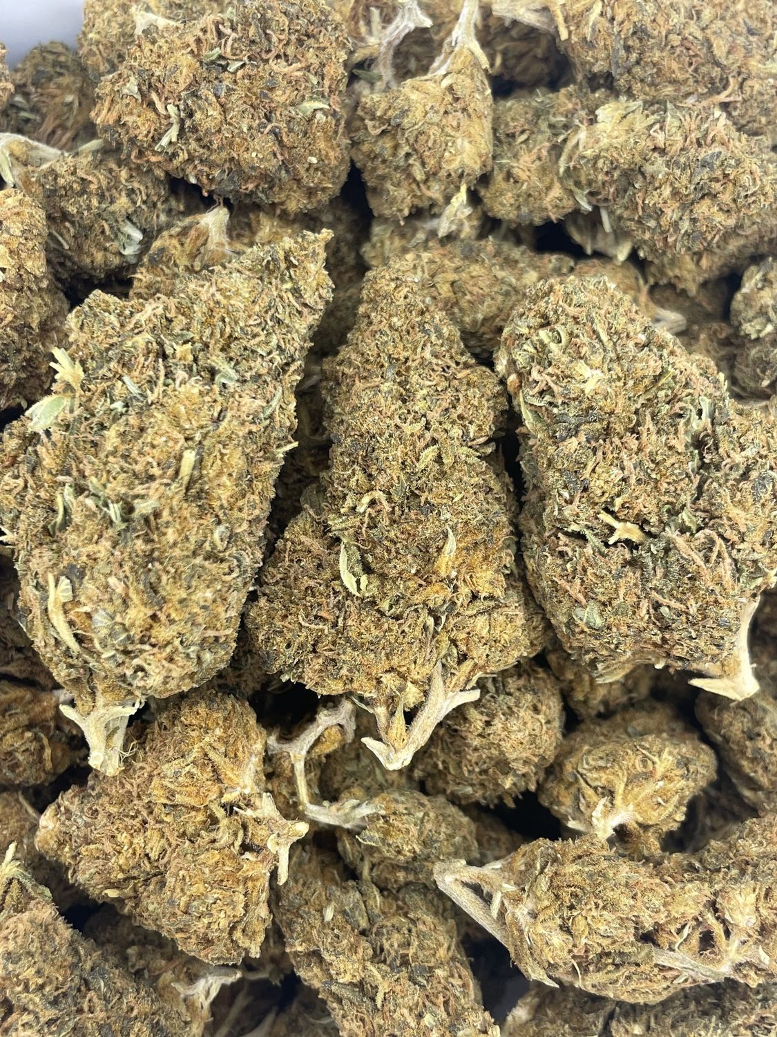 Gelato (28G)