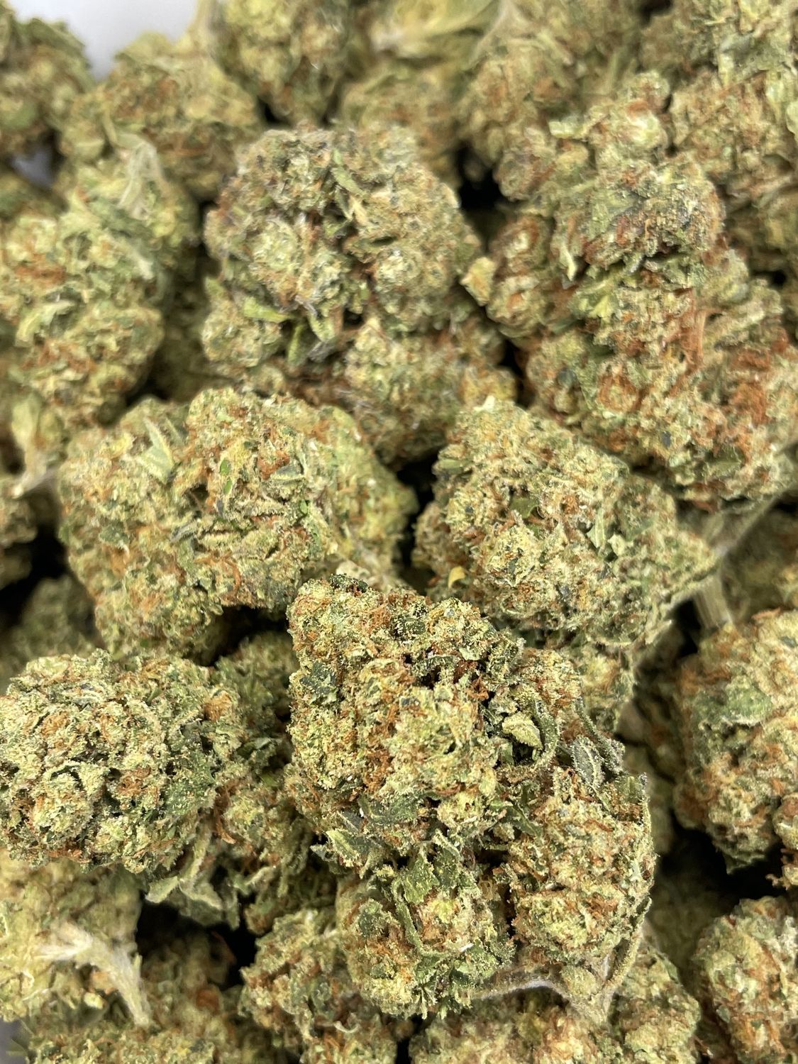 London Pound Mintz (3.5G)