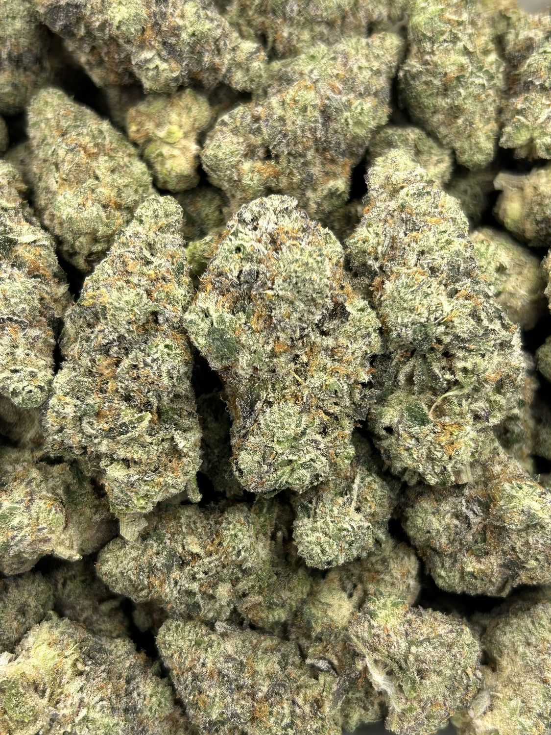 London Pound Mintz (28G)