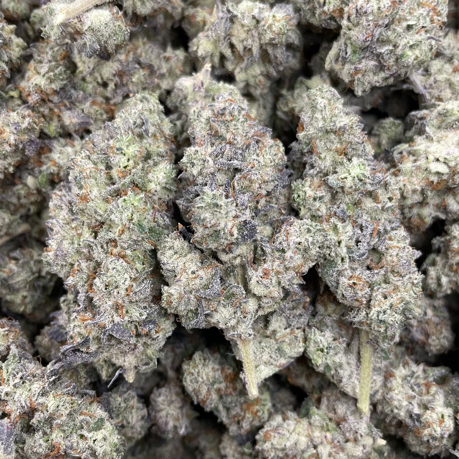 Blockberry (28G)