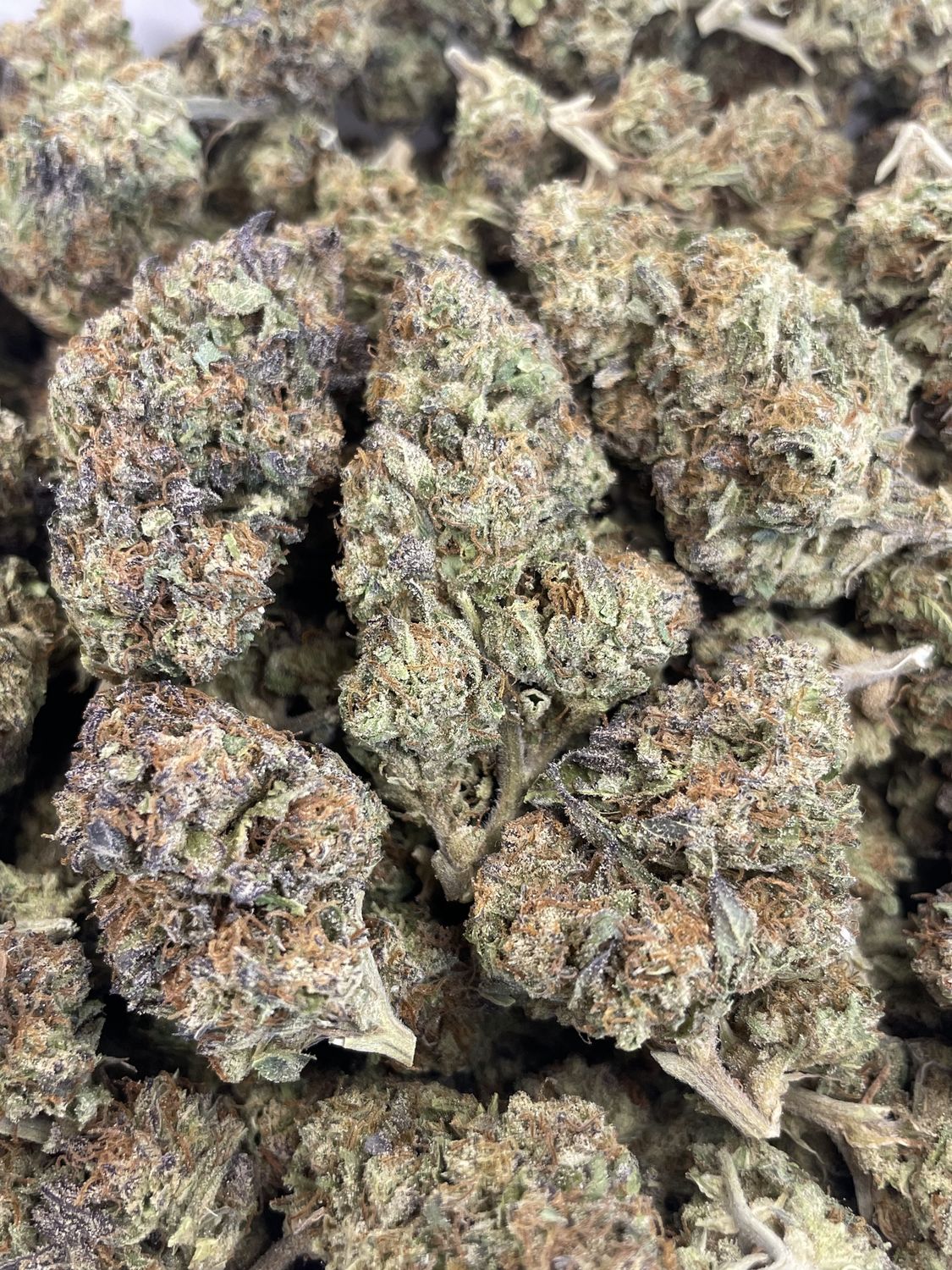 Buddha Kush (28G)