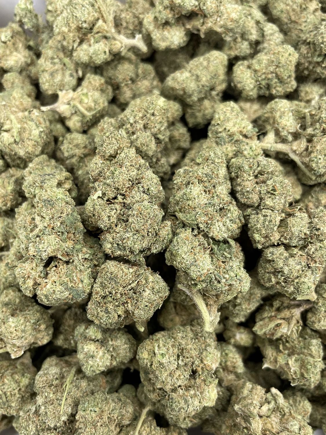 Jelly Cake (28G)