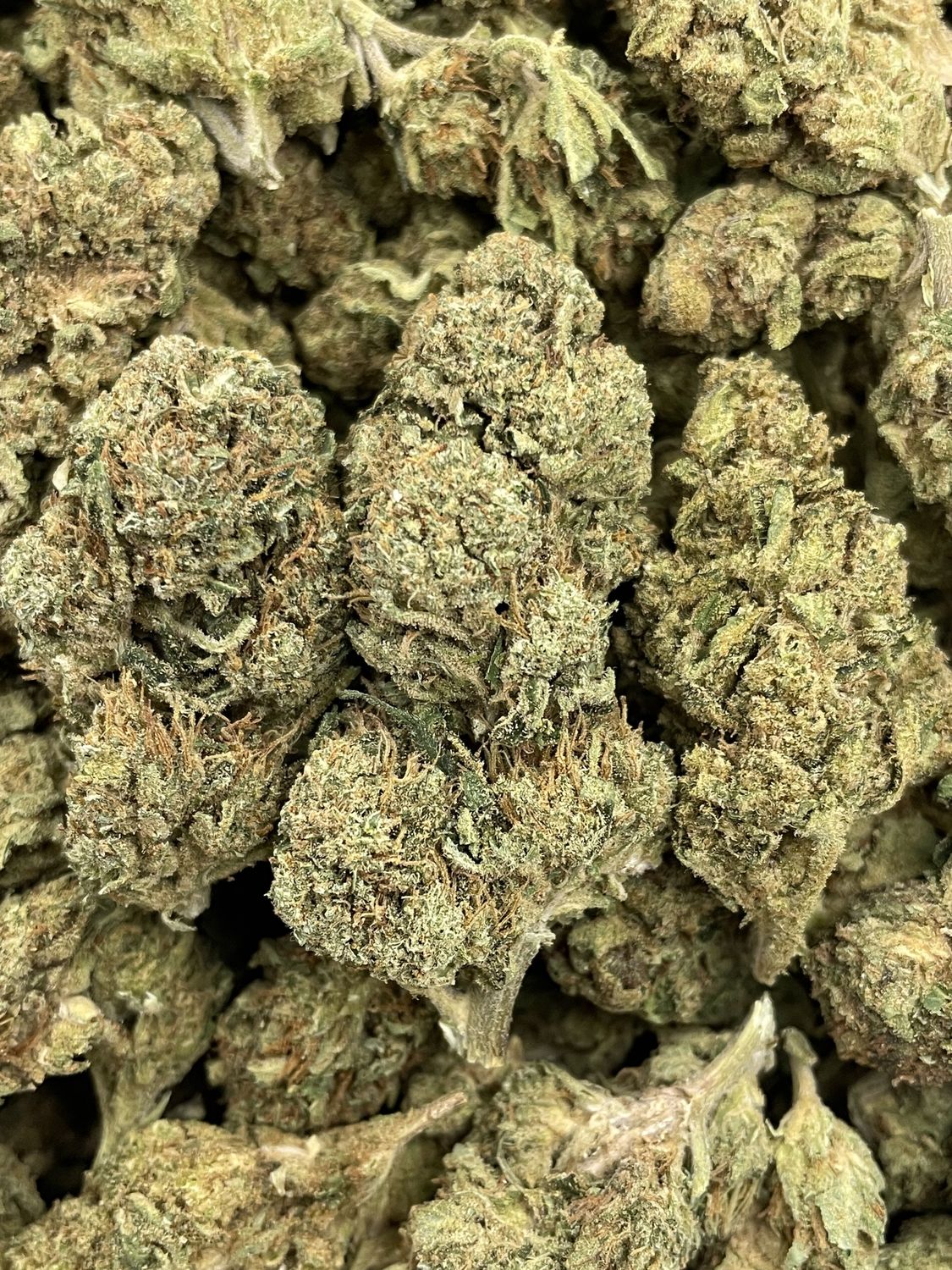 Lemon Cherry Sherb (3.5G)