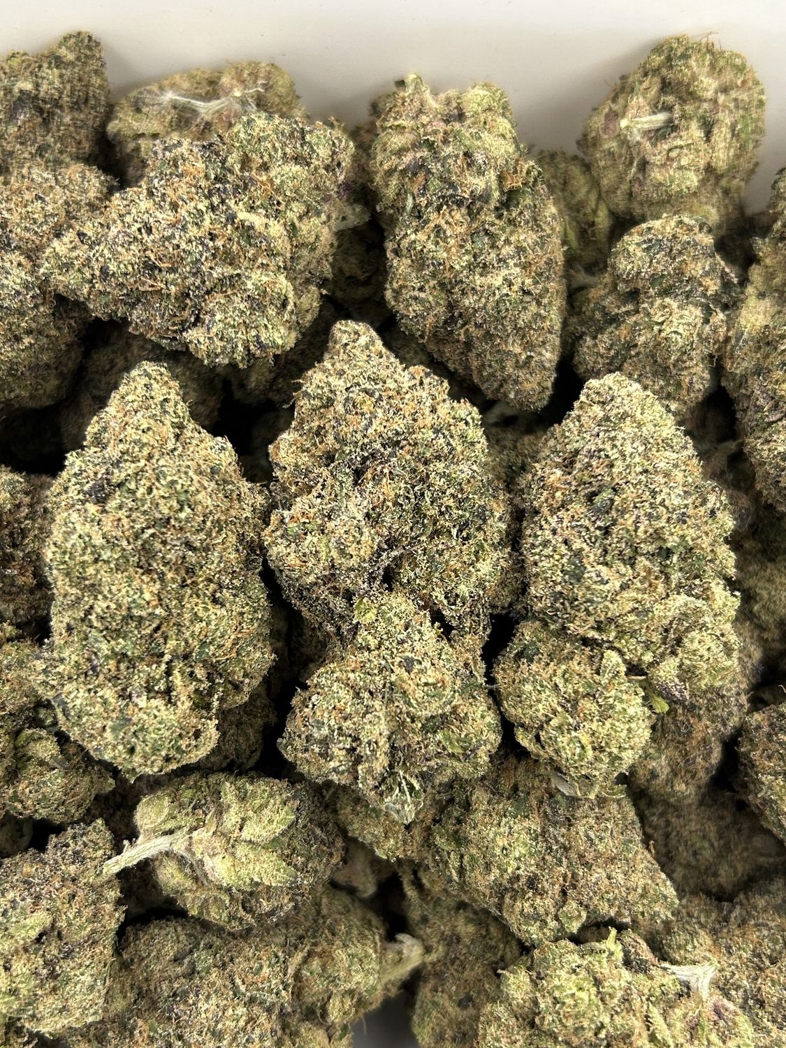 Garanamals (28G)