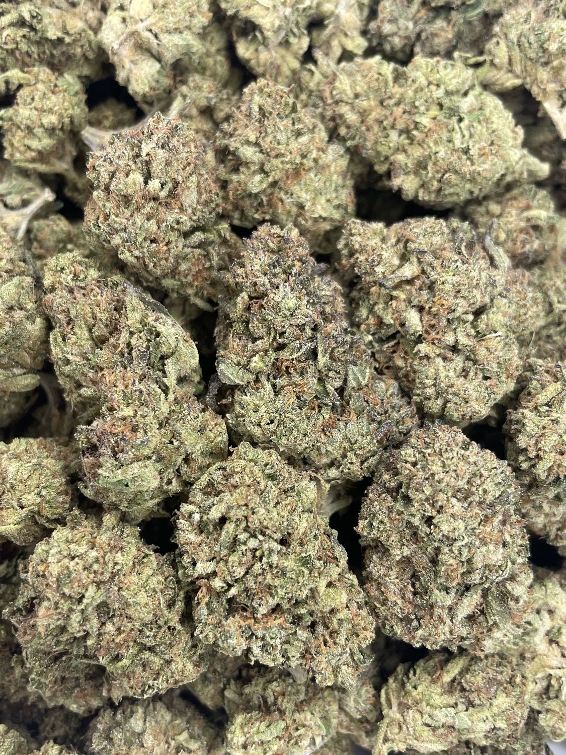 Frosted Runtz (28G)