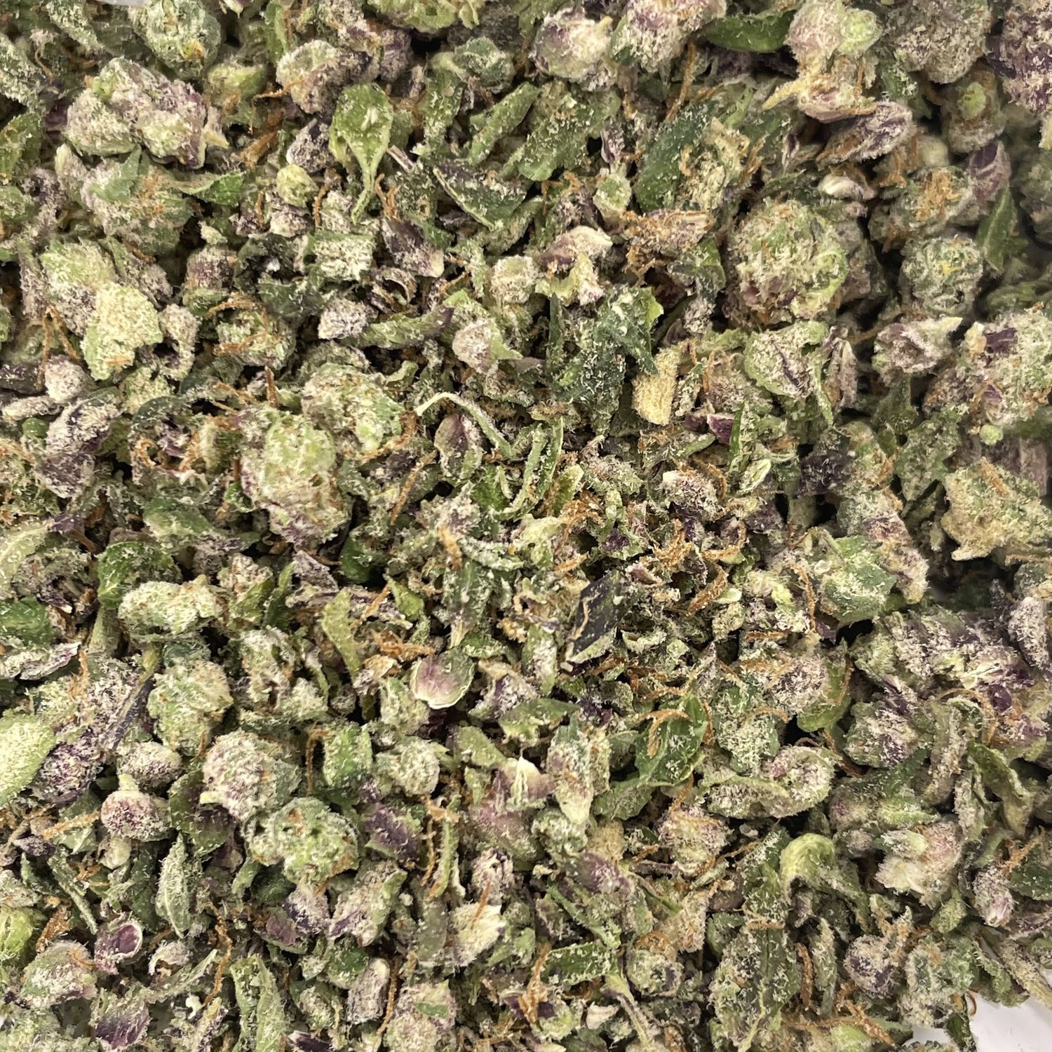 Mimosa Jack Shake (7G)