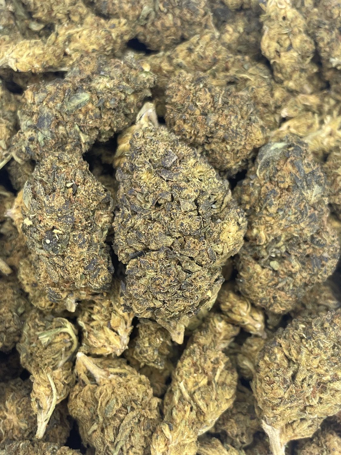 Gelato #41 (28G)