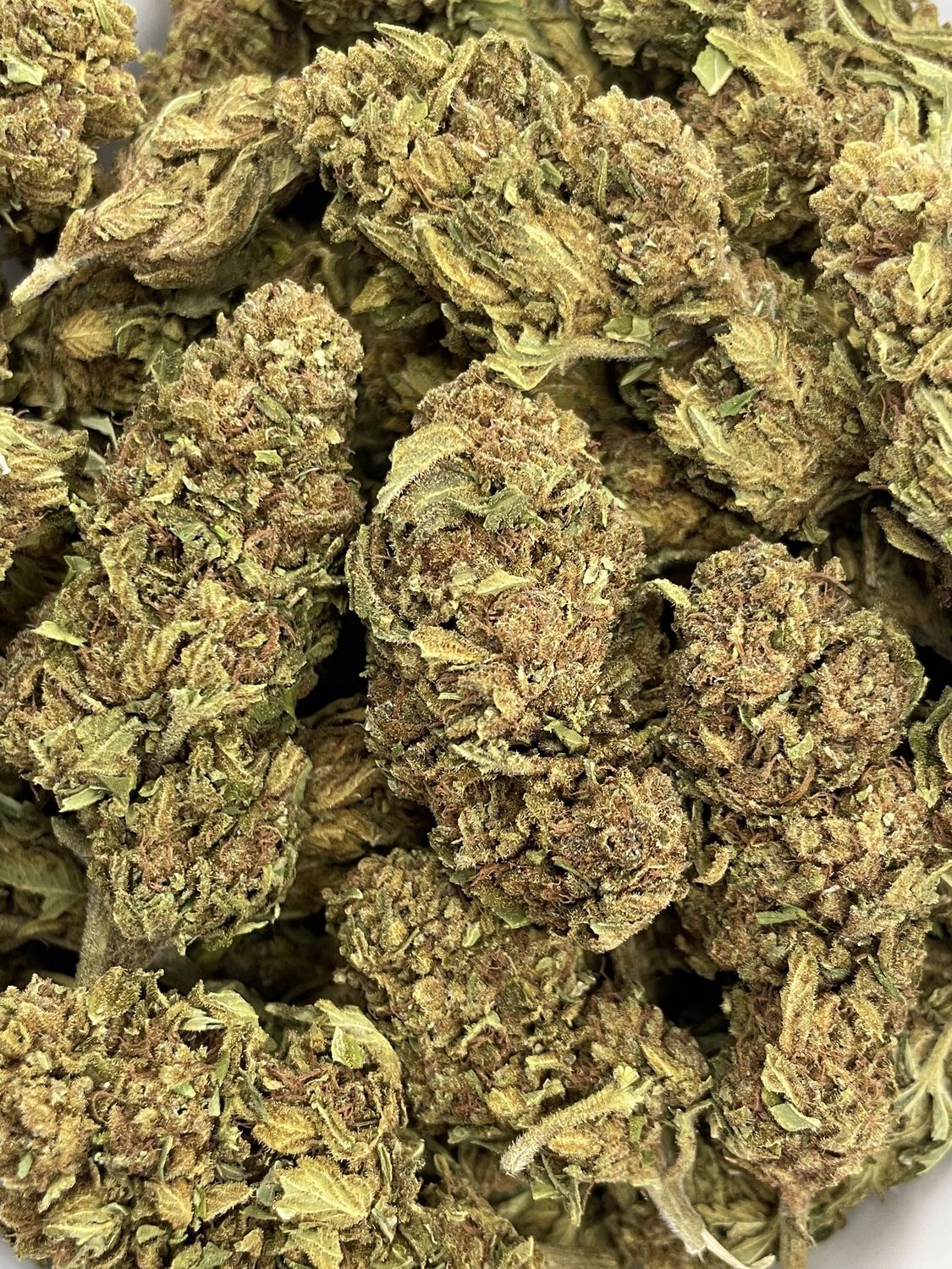 Garlic Piss (28G)