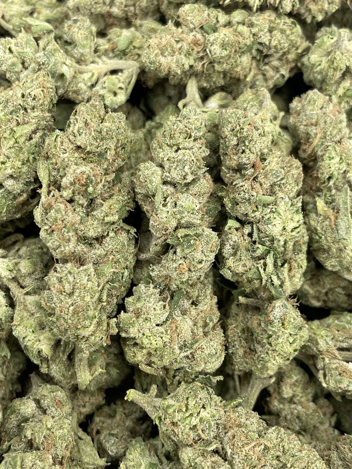 Pressure (28G)