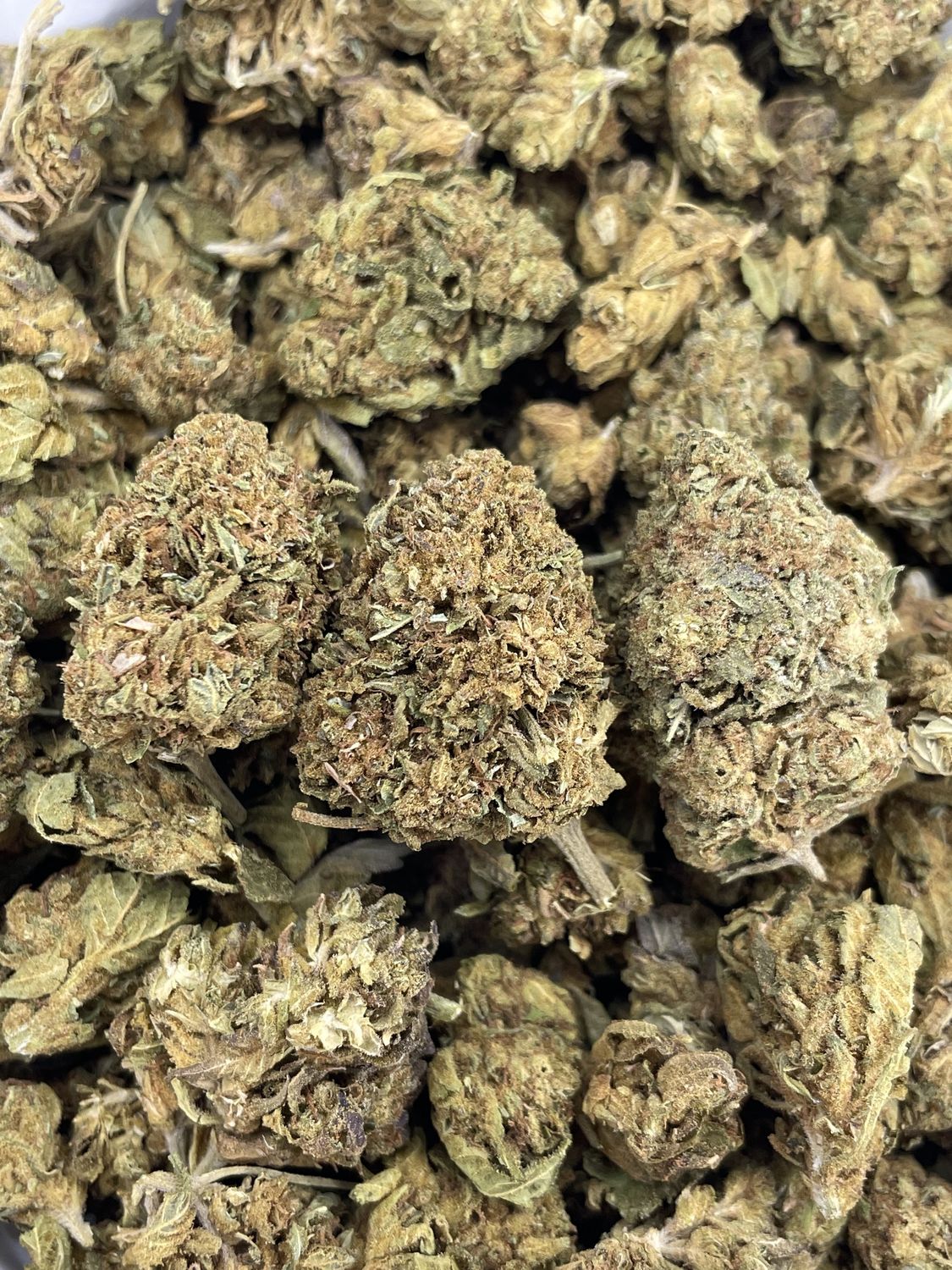 Haagen-Za (3.5G)