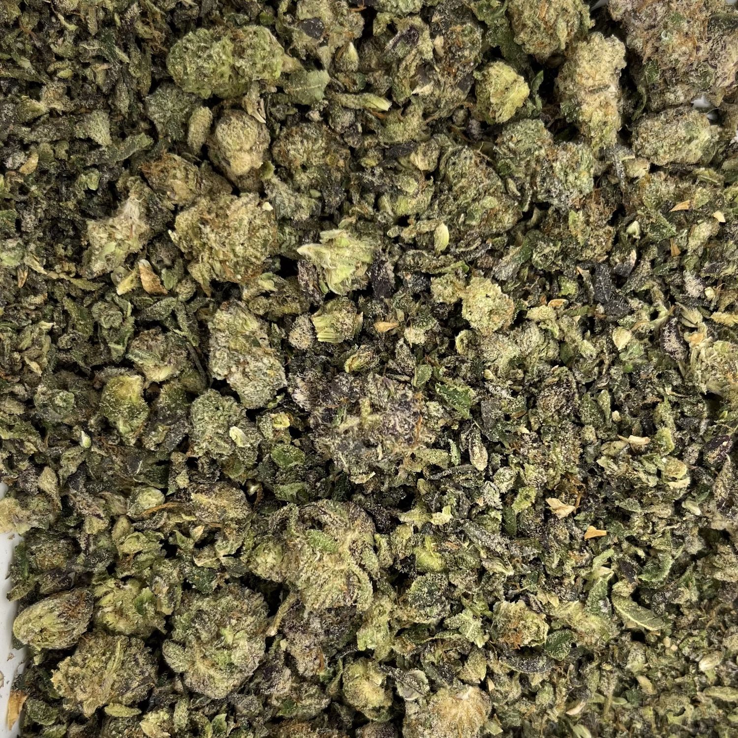 Silky Gelato Shake (7G)