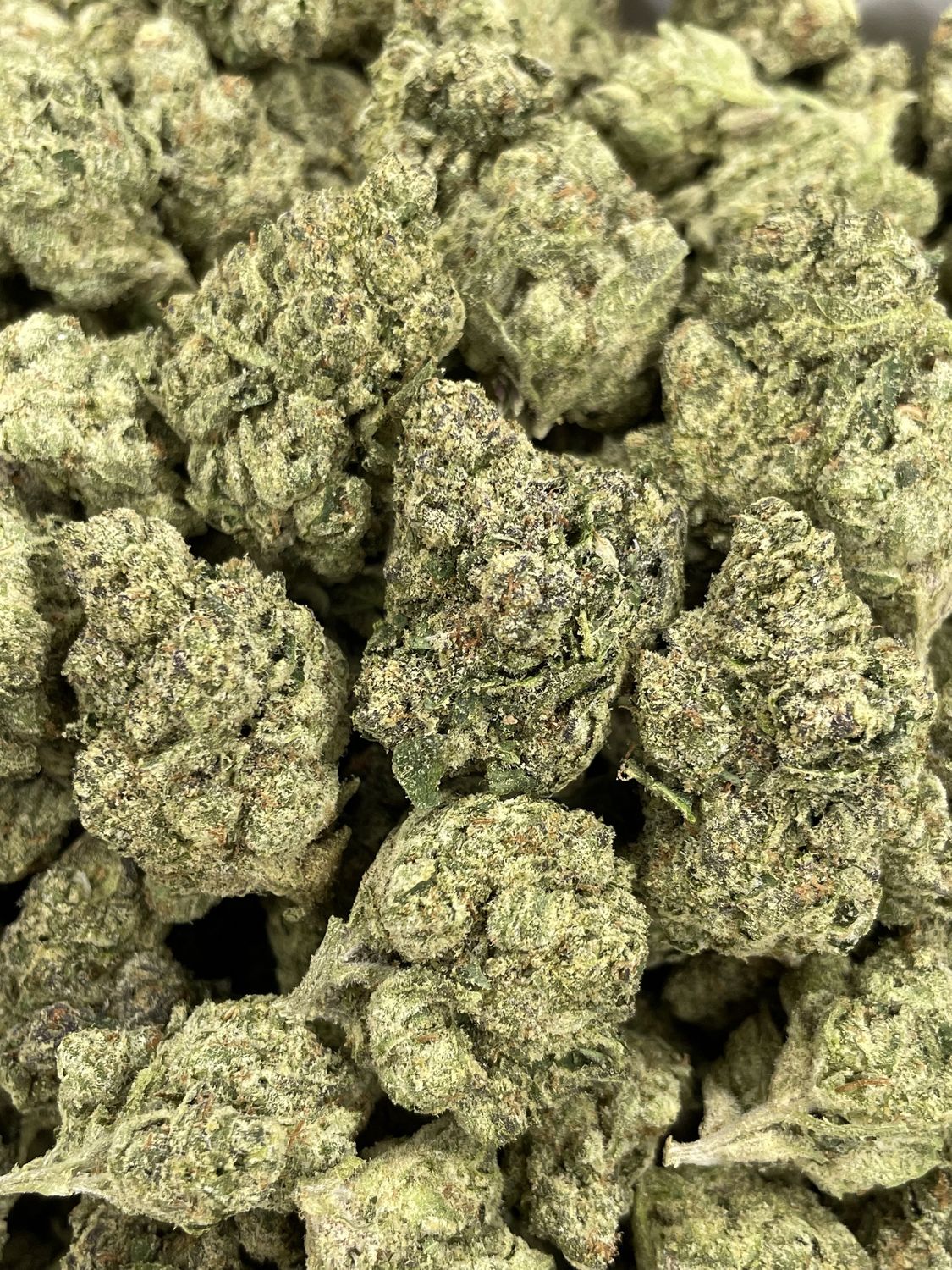 Gas Face (28G)