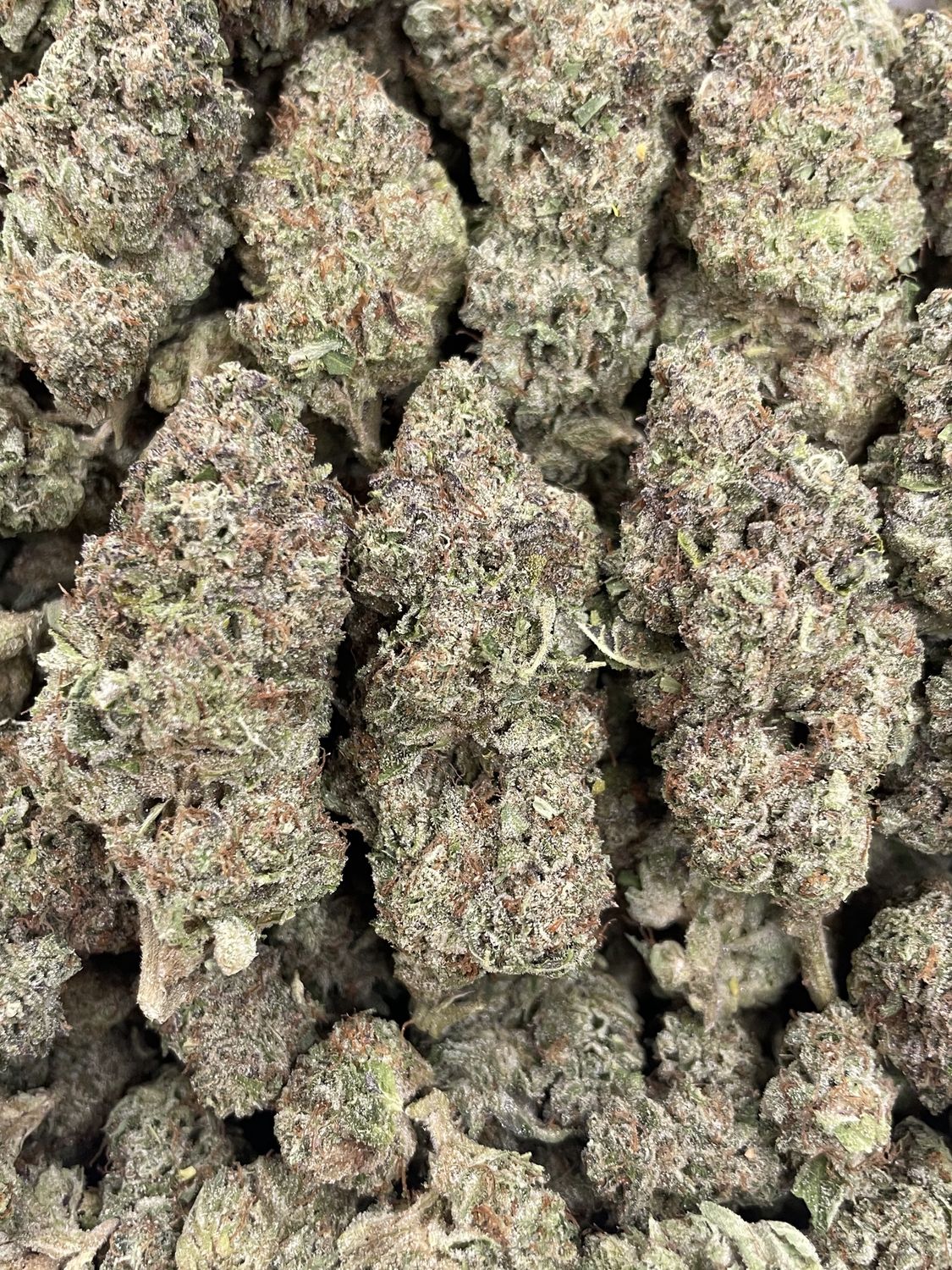 Gas Face OG (3.5G)