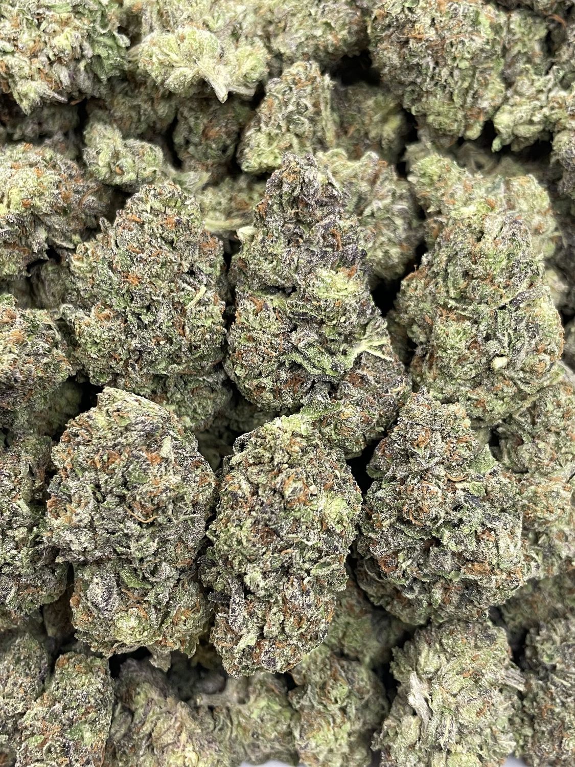Biscotti (28G)