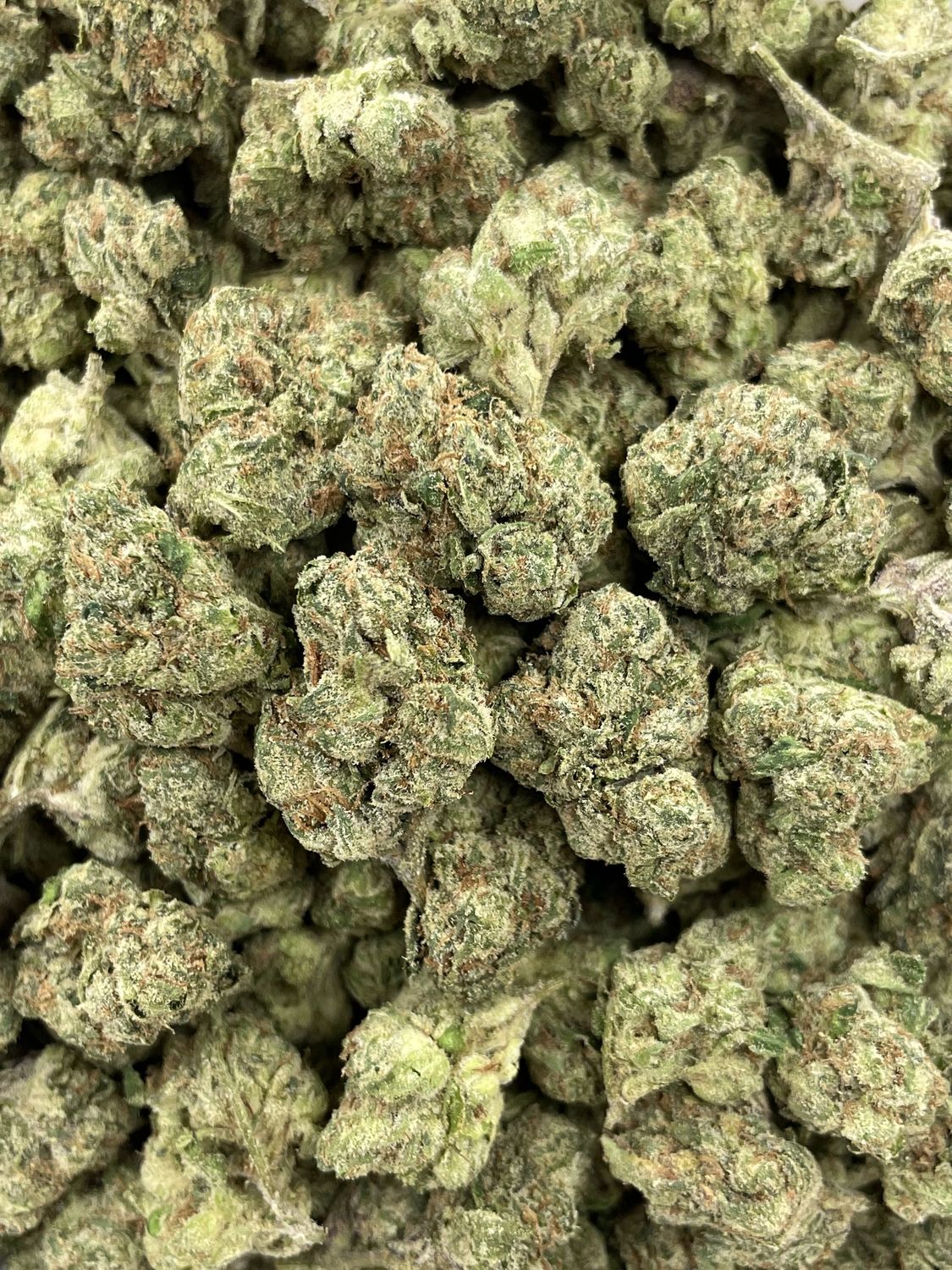 Starburst (28G)