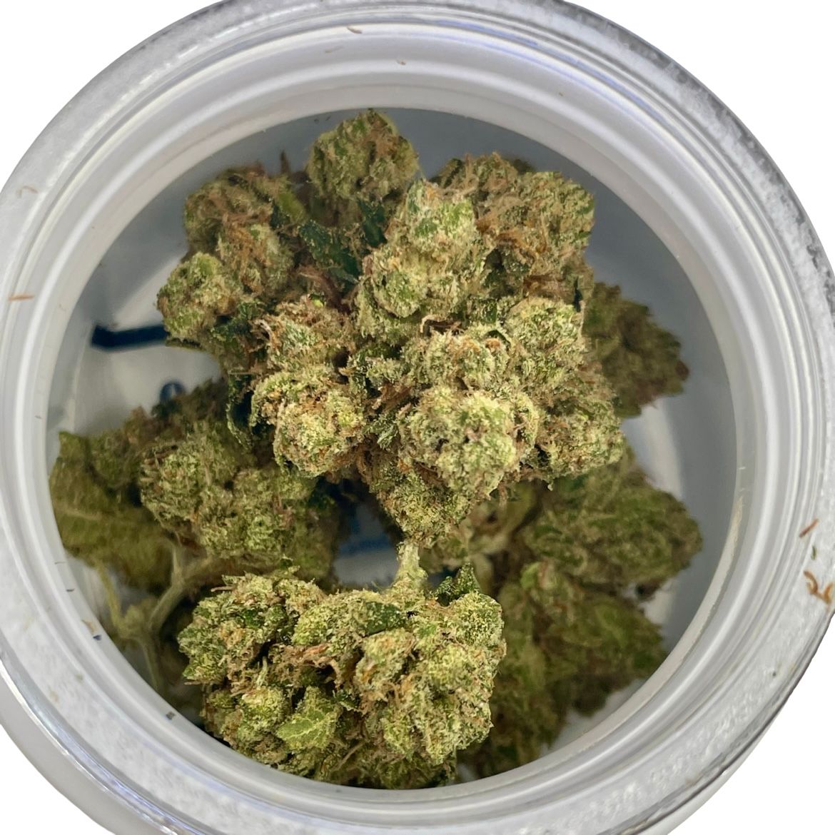 OG Kush (3.5G) SMALL BATCH FLOWER