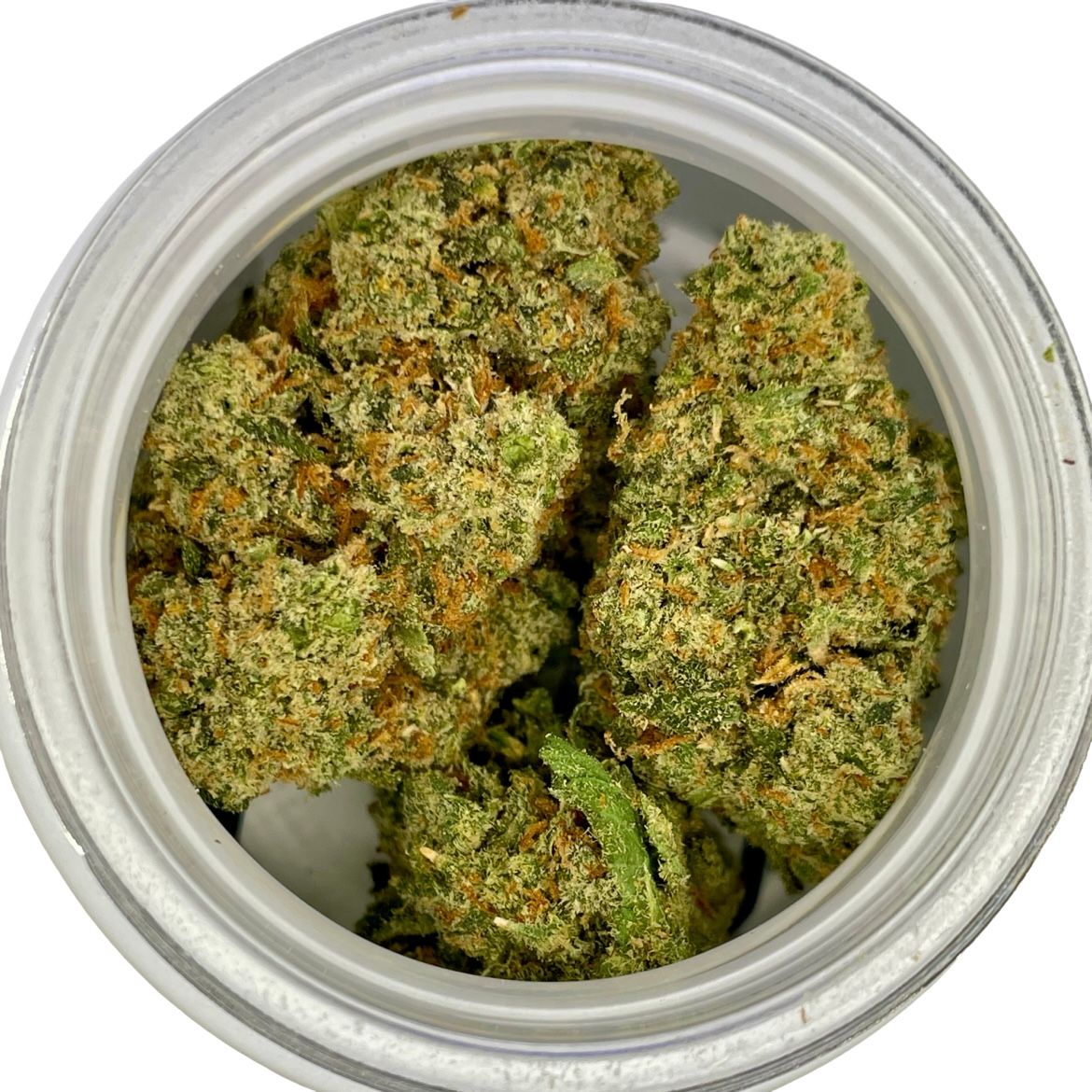 Jack Herer (3.5G) SMALL BATCH FLOWER