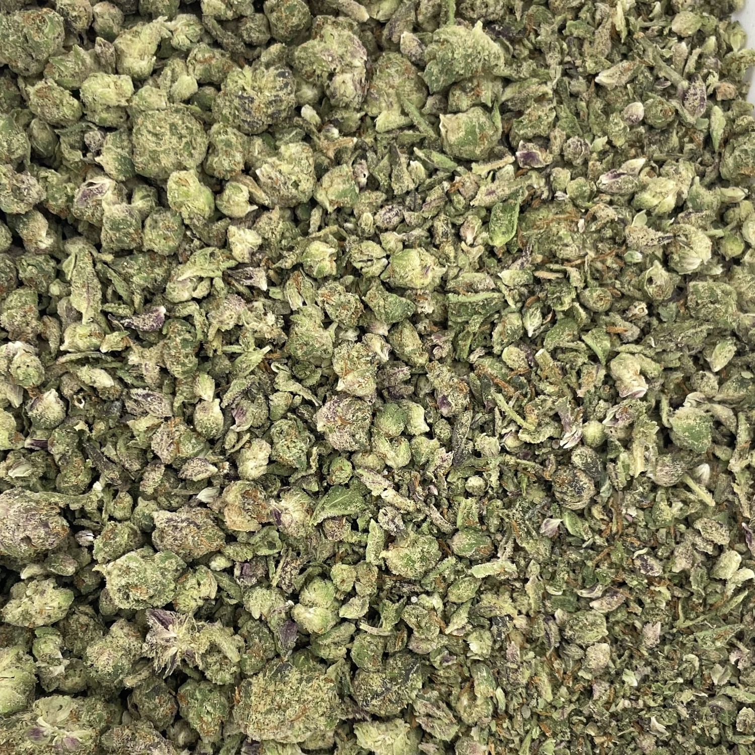 White Thorn Roses Shake (7G)
