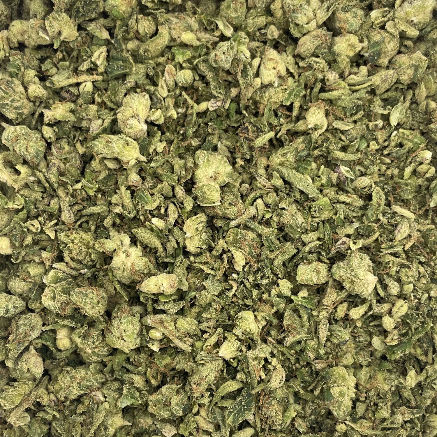 Starburst Shake (7G)