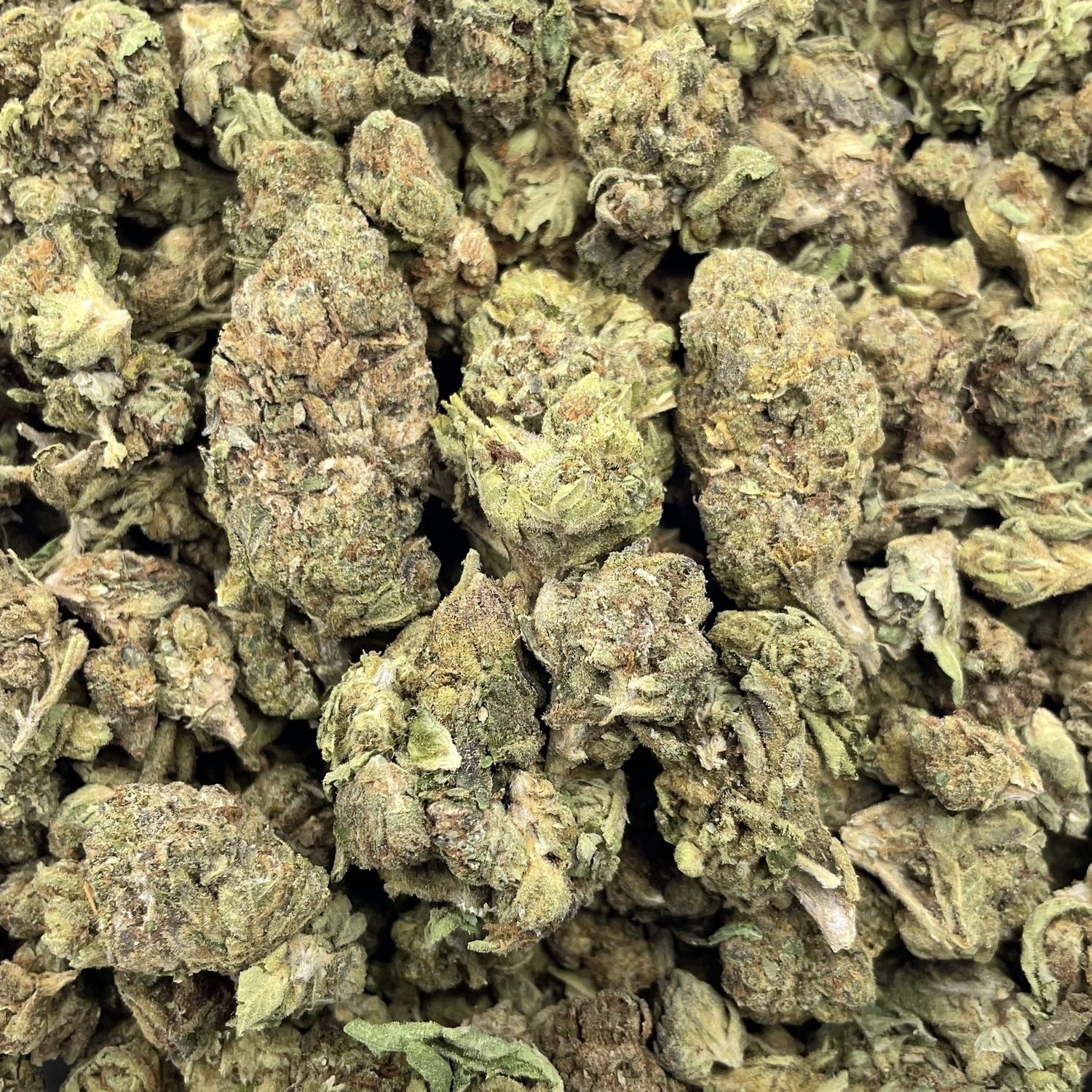Gush Melon (3.5G)