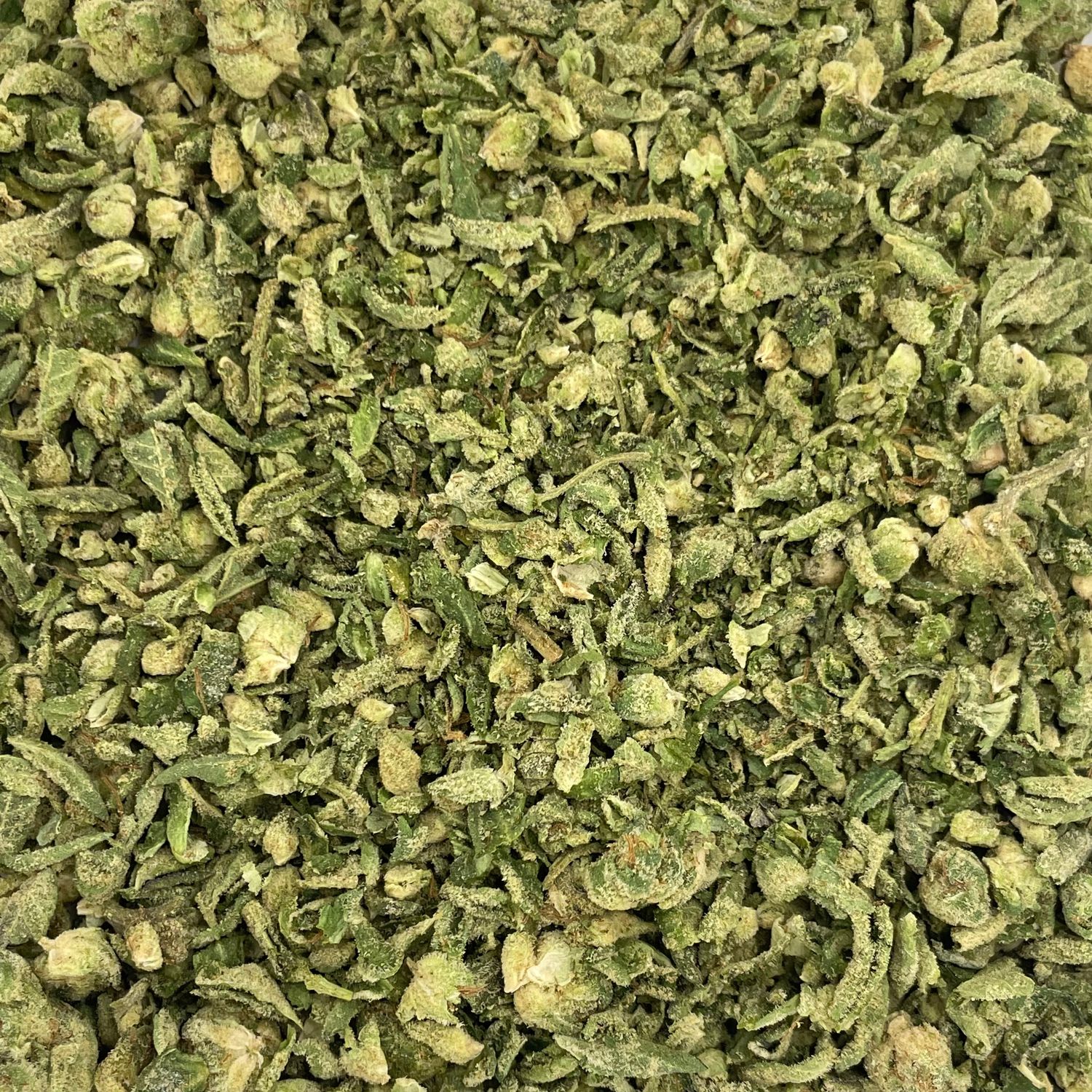 Lemoncello Shake (7G)