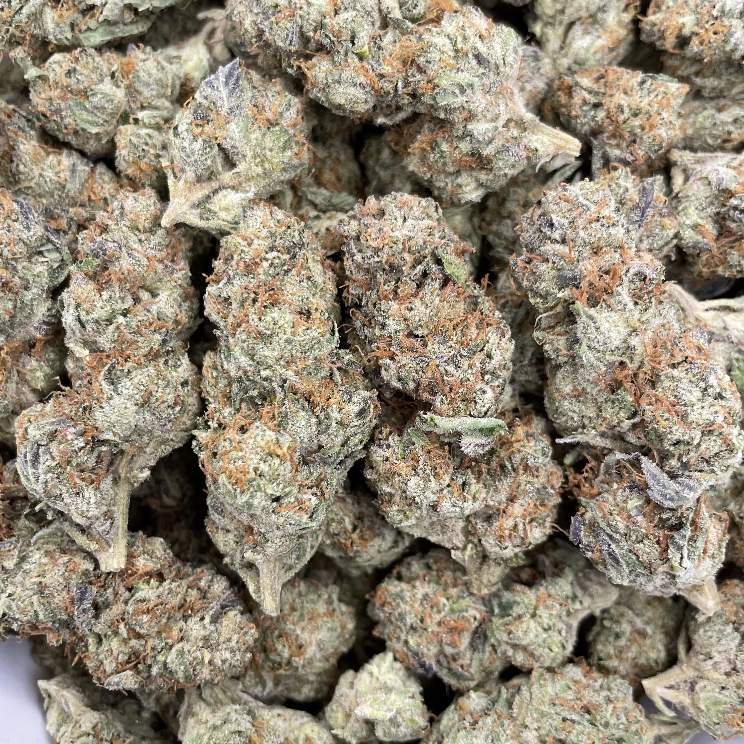 Amaretto (28G)