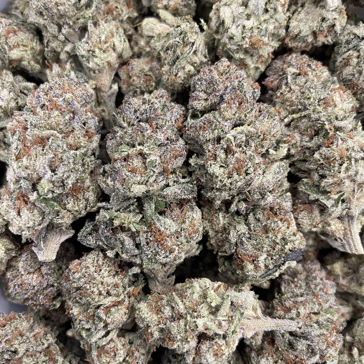 Lemoncello (3.5G)