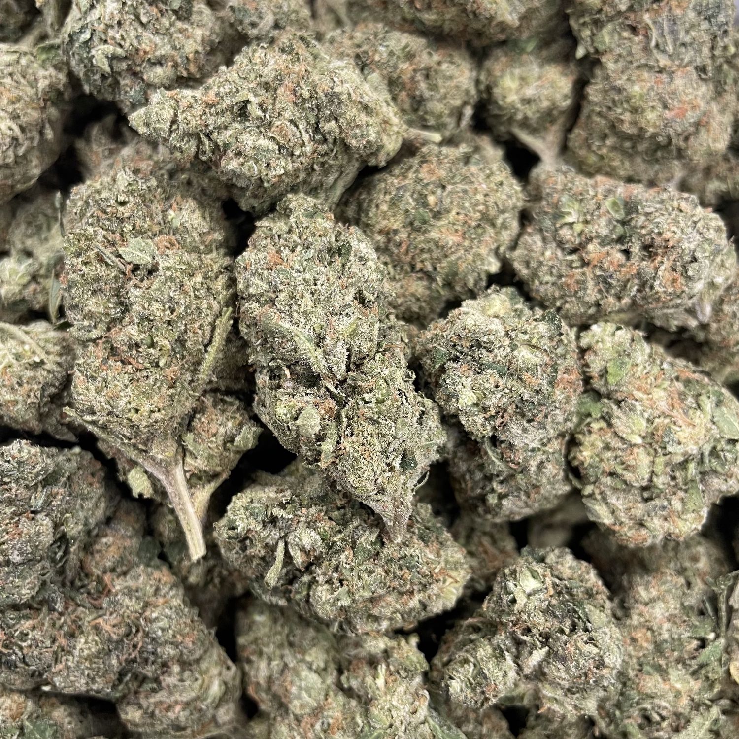Gelato #33 (28G)