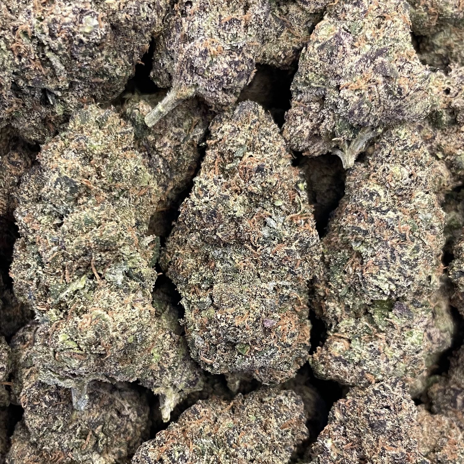 Blue Zushi (28G)