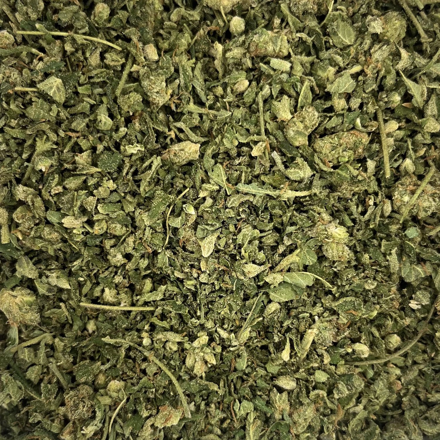 Gelato #33 Shake (7G)