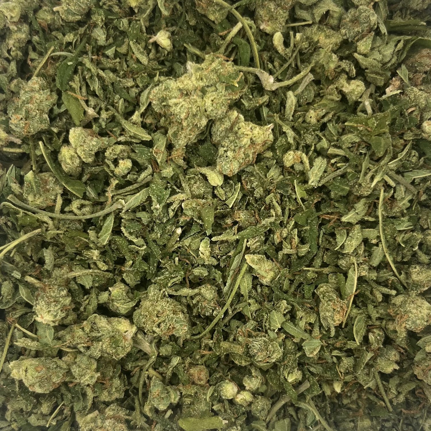 GMO Shake (7G)