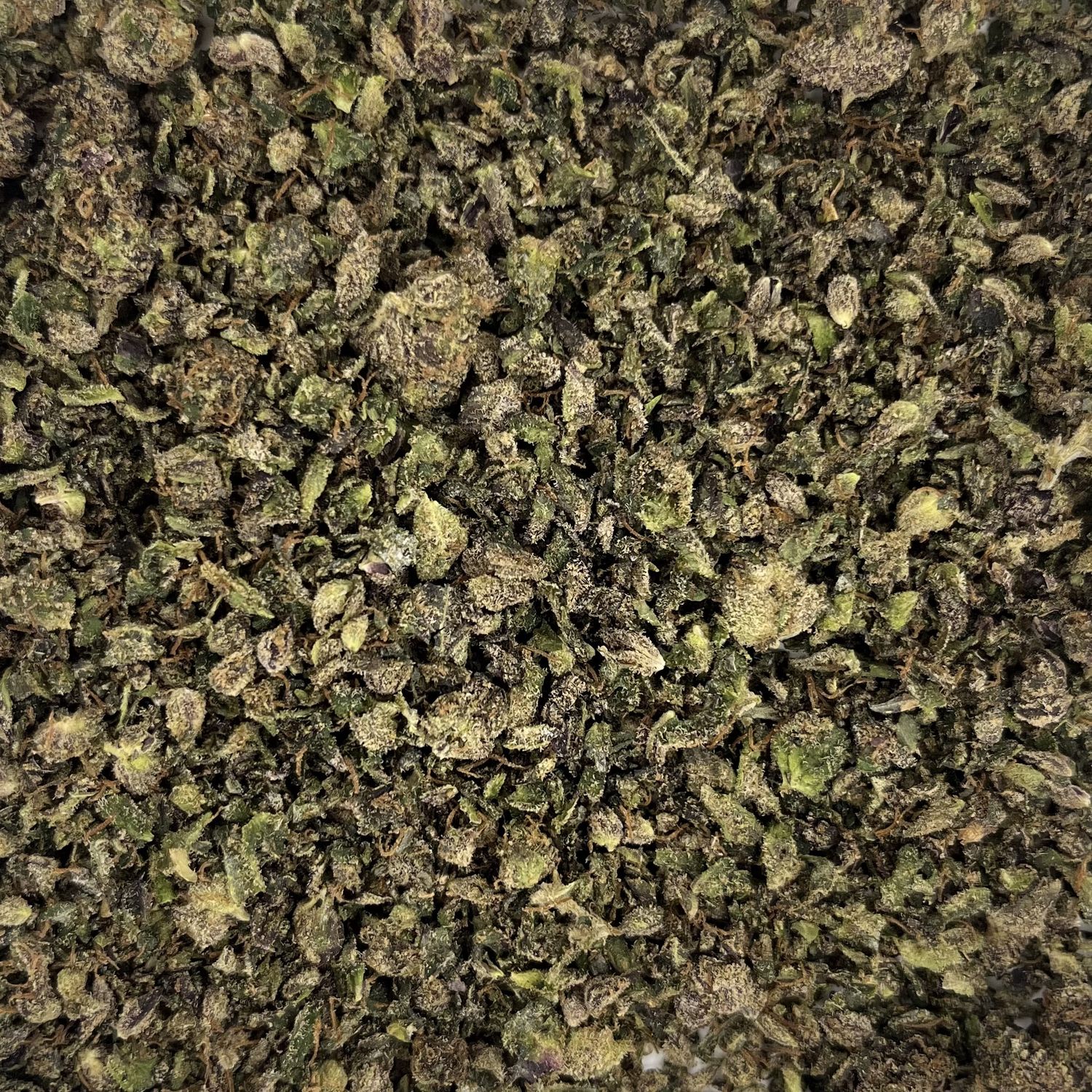 Blue Zushi Shake (7G)