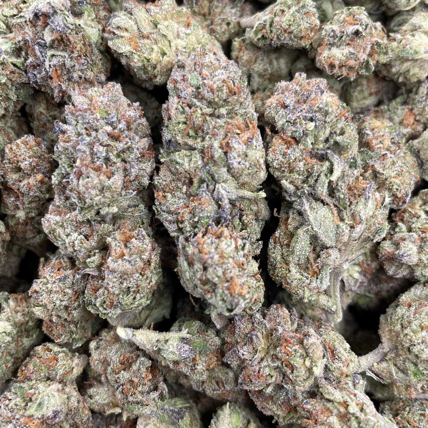 Cadillac Rainbow (28G)